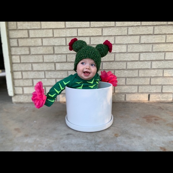 Meet your Posher, Terry - Picture 4 of 6